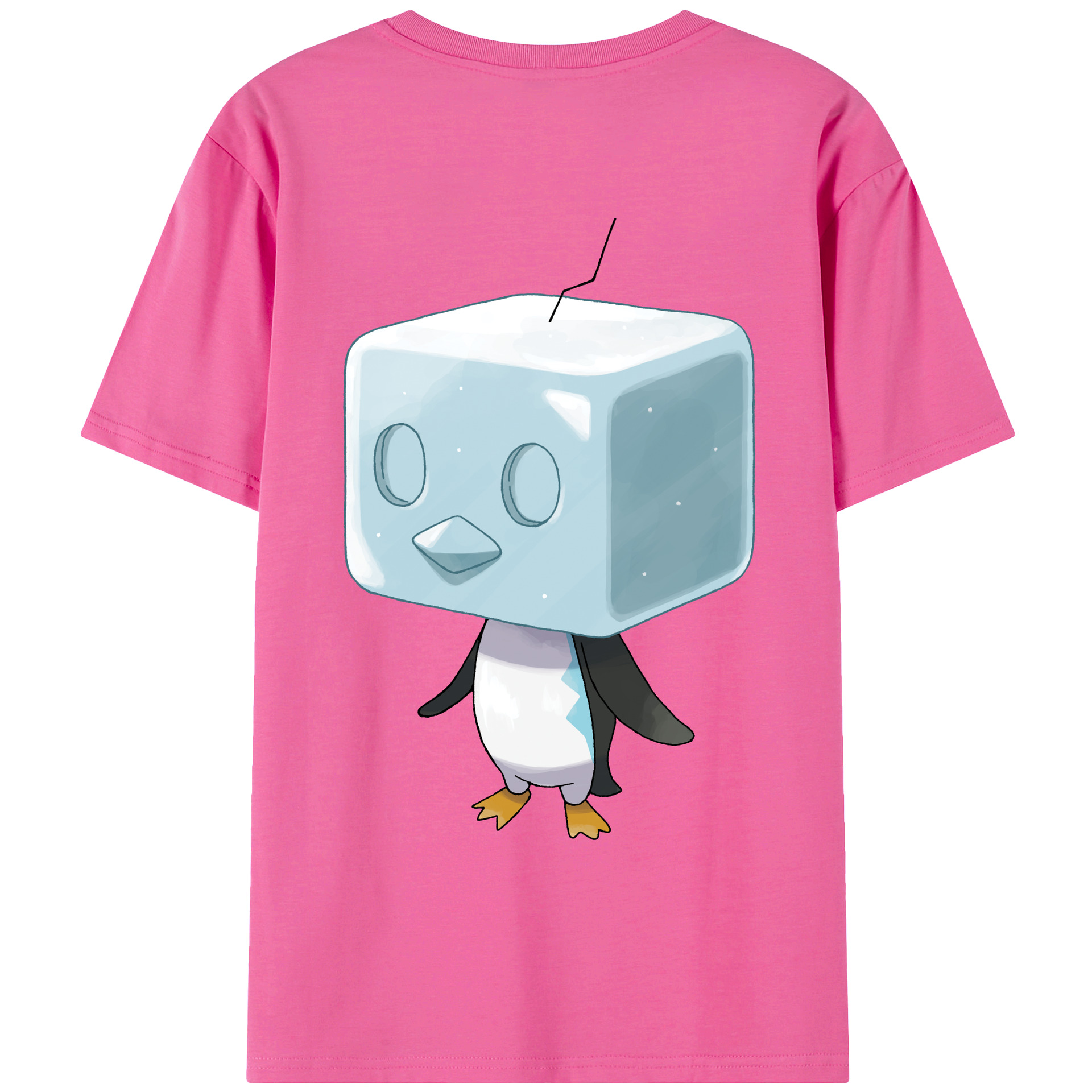 （画像用） ポケットモンスター Pokémon レディース半袖Tシャツ(バックプリント)
